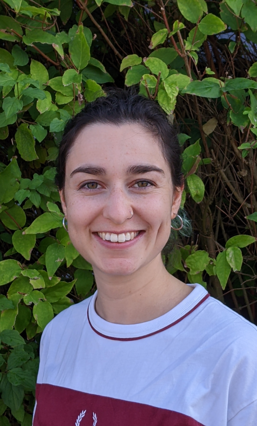 Sophia Keese Didaktik Der Sozialkunde